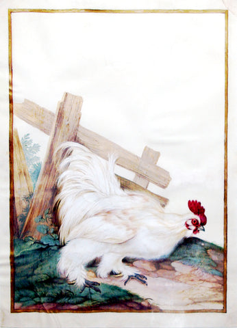 Claude Aubriet (French, 1665-1742), Untitled [Chicken]