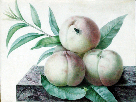 Pancrace Bessa (French, 1772-1846), Peaches