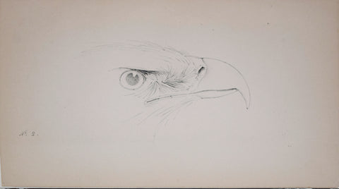 Henry Leonard Meyer (1797-1865), Golden Eagle Head
