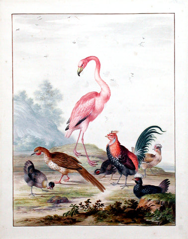 Johannes Bronckhorst (Dutch, 1648-1727), A Flamingo and Exotic Poultry in a Landscape