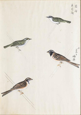 Chinese School, Four Birds