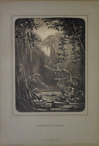 Rudolf Cronau (1855-1939)  Sumpflandschaft in Louisiana. 15, [Swamp Landscape in Louisiana]