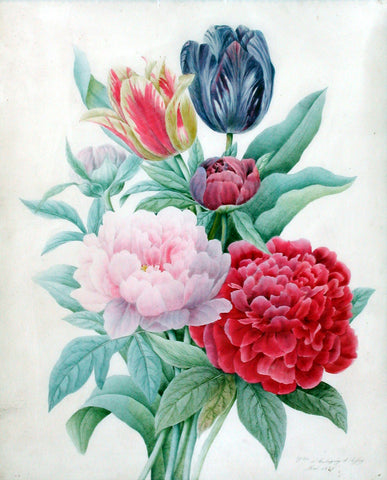 Comtesse D’Aubigny D’Afoy (French, fl. 1830-1850), A Bouquet of Peonies and Tulips