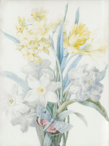 Zélie-Julie d’Leindre (French, 1795-1858), Narcissus and Daffodil with Butterfly