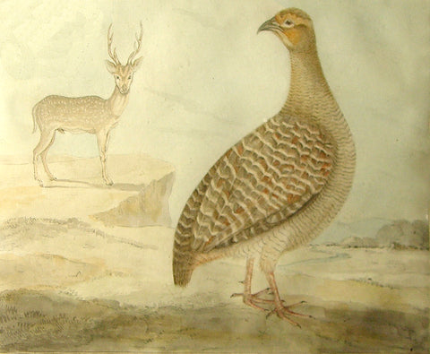 Attributed to William Daniell, Study of Deer and Partridge in a Landscape