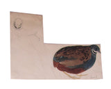Samuel Daniell (British, 1775-1811), Album of field-sketches of Indian and Sri Lankan birds