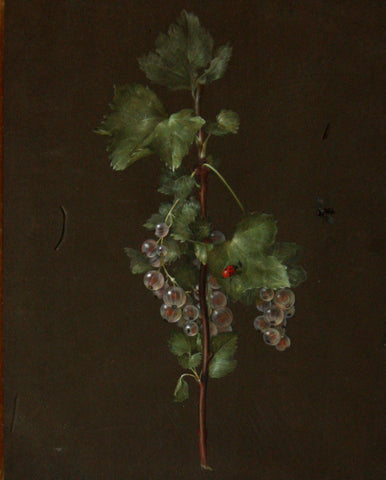 Barbara Regina Dietzsch (German, 1706-1783), Berries and ladybug