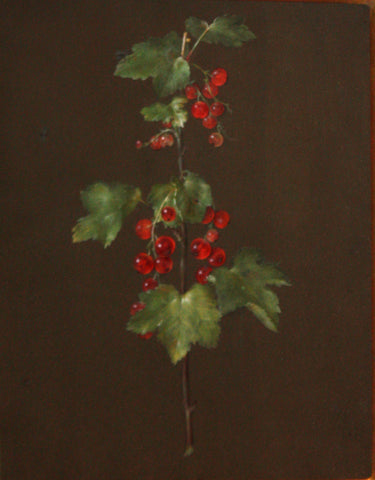 Barbara Regina Dietzsch (German, 1706-1783), Red Berries
