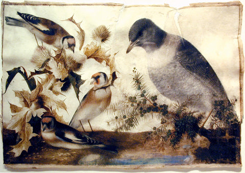 Daniele Durand (Dutch, 17th Century), Group of Birds and Thistle