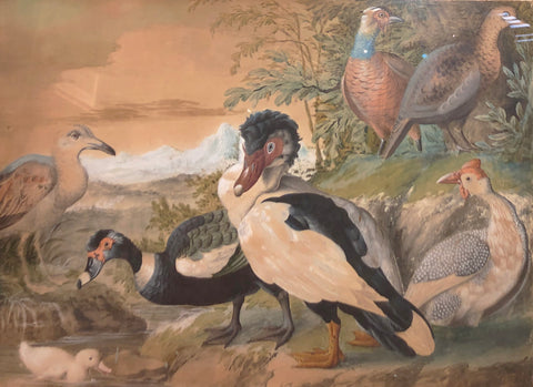 DUTCH SCHOOL (C. 1700), Exotic Birds