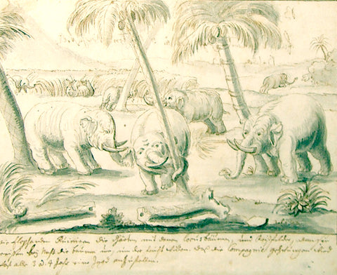 German School (18th century) Scene with Elephants, Rhinos and Warring Figures