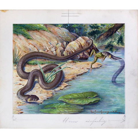 Gustav Mutzel (German, 1839-1893), Snake