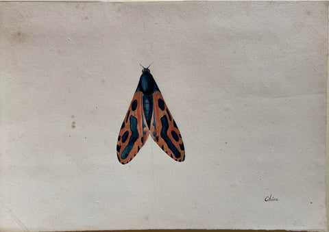 Christophe Paulin de la Poix de Freminville (1747-1848), Chine (Moth)