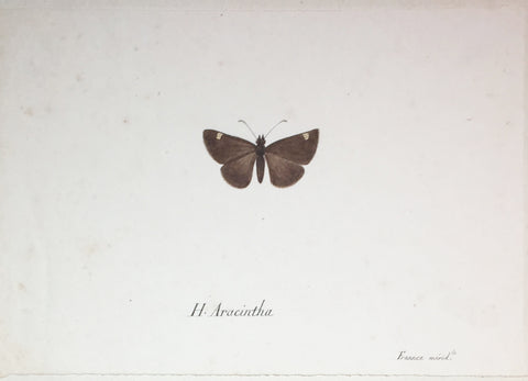 Christophe Paulin de la Poix de Fremenville (1747-1848), H. Aracinta Moth France Meridole