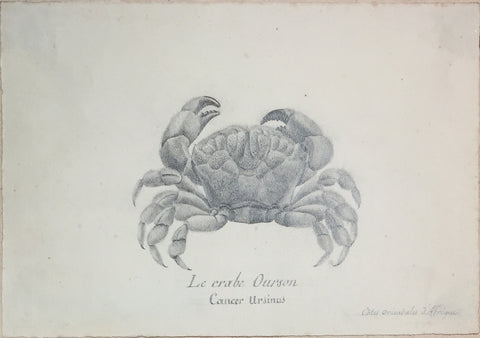 Christophe Paulin de la Poix de Freminville (1747-1848), Le Crabe Ourson Cancer...