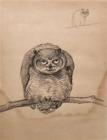 Louis Agassiz Fuertes (American, 1874 - 1927), Scowling Owl