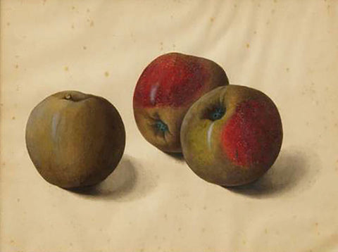 Attributed to Franz Xaver Gruber (Austrian, 1801-1862), Apples