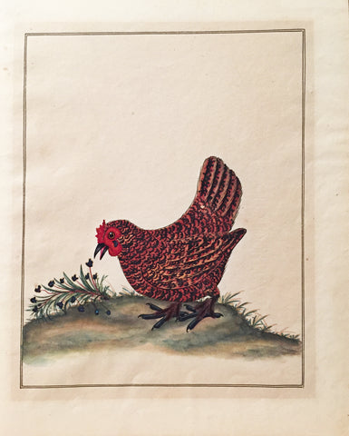 Charles Hayes (British, 1772-1826), Red Hen