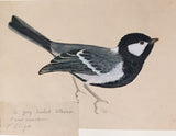 George Morrison Reid Henry, (British,1891-1983), Collected field studies of birds...