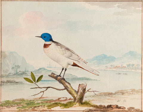 Pieter Holsteyn (Dutch, 1614 - 1673) and Aert Schouman (Dutch, 1710-1792), A Blue Headed Tern in an Estuary Landscape