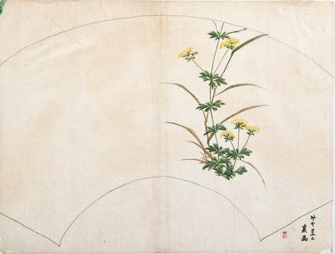 Japanese School, Yellow Flowering Plant