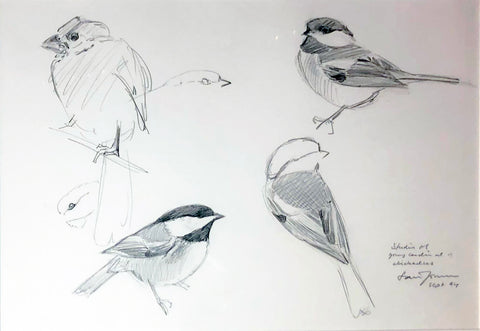 Lars Jonsson (Swedish, b. 1952), Studies of Young Cardinal and Chickadees