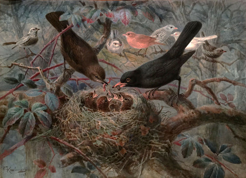 Johannes Gerardus Keulemans (Dutch, 1842-1912), Couple of Blackbirds Feeding Their Chicks
