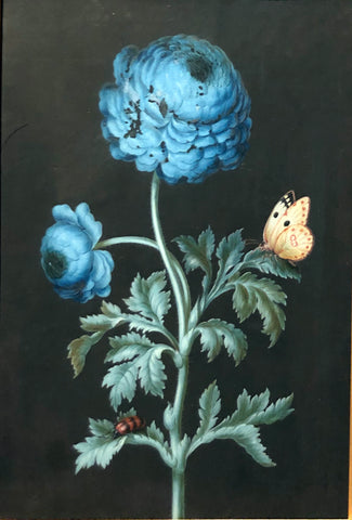 Ernst Friedrich Carl Lang (german, 1748-1782), Blue ranunculus with postillon and sitting beetle
