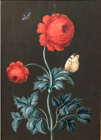 Ernst Friedrich Carl Lang (German, 1748-1782), Red ranunculus with postillion and flying beetle