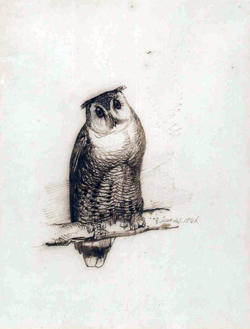 Edward Lear (British, 1812-1888), Study of an Eagle Owl, 1846