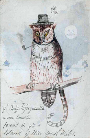 Edward Lear (British, 1812-1888), Ye Owly Pusseycatte, a new Beast found in ye Island of New South Wales