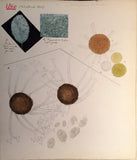 Commandant Julien Lignier (1872-1932), Albums of Fine Original Watercolors of Fungi.