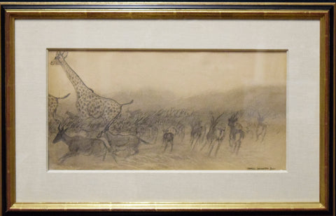 Charles Livingston Bull (American, 1874-1932), [Wildlife Sketch, Giraffe and Antelope]