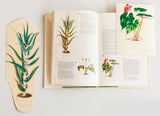 Harry Marinsky (American, 1909-2008), Original watercolors of plants prepared for The Woman’s Day Book of House Plants