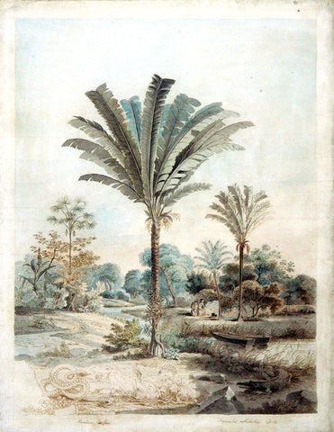 Carl Friedrich Philipp von Martius (1794-1868) and Johann Moritz Rugendas (1802-1858), A Brazilian Landscape with Indians encamped...