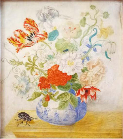 Maria Sibylla Merian (German, 1647-1717), Flowers in a Chinese vase