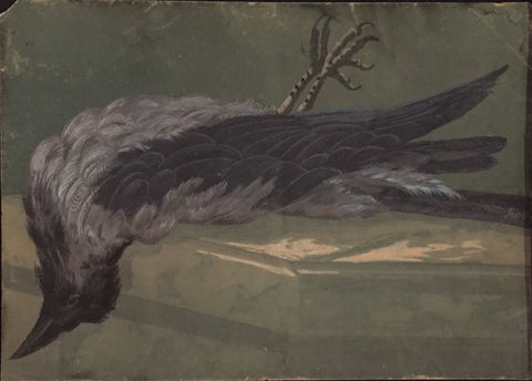 Attributed to Jean-Baptiste Oudry (French, 1686 -1755), Raven, Nature Morte