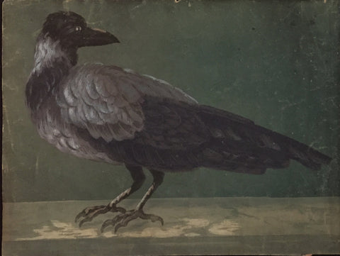 Attributed to Jean-Baptiste Oudry (French, 1686 -1755), Raven