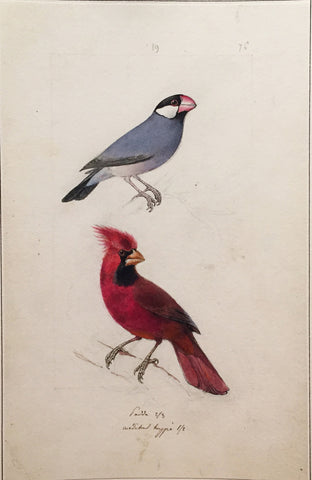 Hippolyte Pauquet & Polydore Pauquet (French 19th century), “Sparrow and Cardinal”