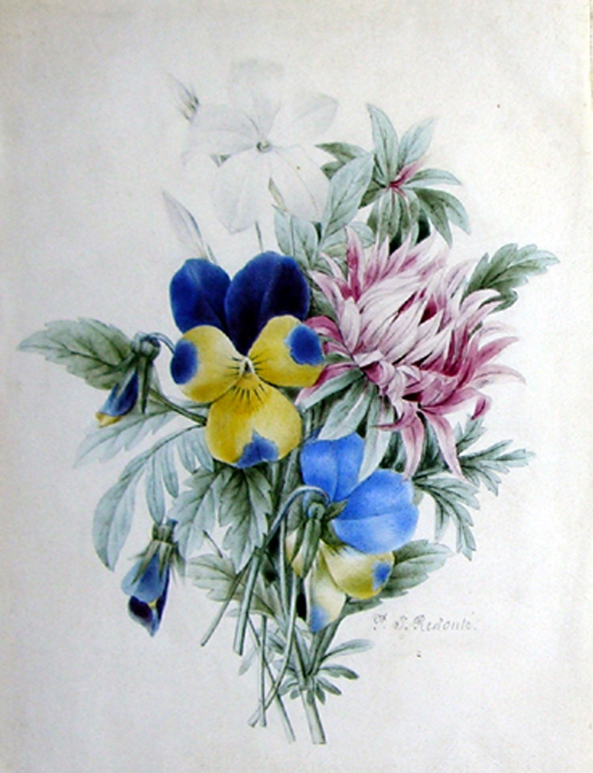 redoutewc_smallbouquetwithviol