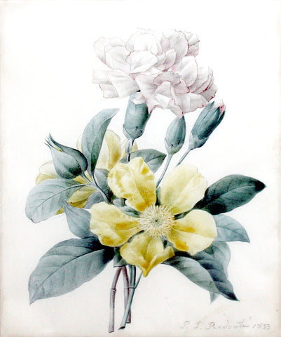Pierre-Joseph Redouté  (Belgian, 1759-1840), Yellow rose and carnation