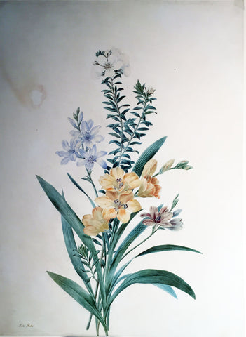 Adèle Riché (French, 1791-1887), Bouquet of Gladiolus