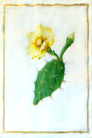 Nicolas Robert (French, 1614-1685), Untitled (Paddle cactus with a yellow bloom)