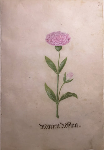 Sebastian Schedel (German, 1570-1628), Marien Koblein