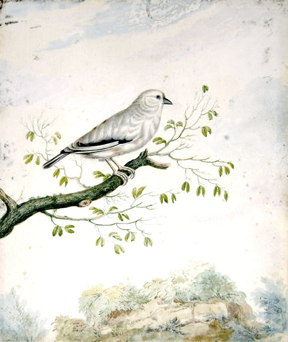 School of Johannes Bronckhorst (1648-1727), [Bird Perched on a Branch in a Rocky Landscape]