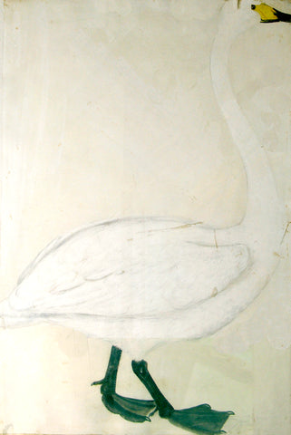 Prideaux John Selby (British, 1788-1867), “Common Wild Swan”