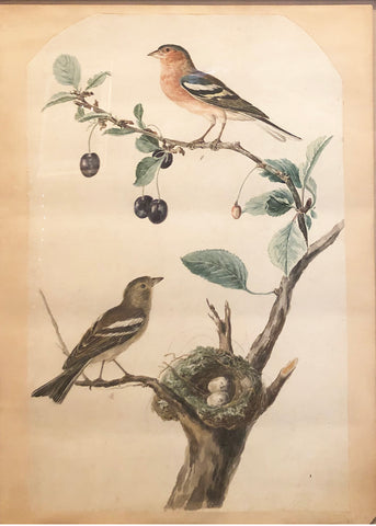 Cornelius Nozeman (Dutch, 1712-1786), “Two Birds with a Nest”