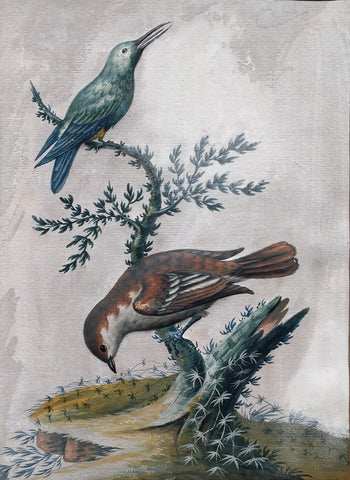 Isaac Spackman (British, c.1700-71), Hen Goldfinch and American Humming Bird