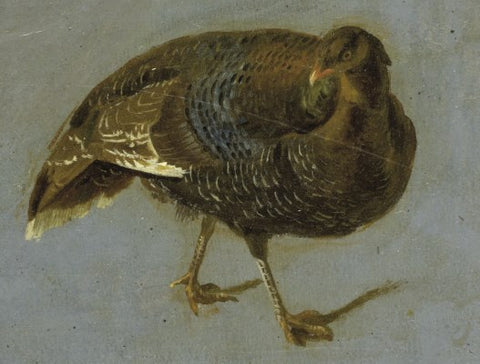 Hendrik Stokvisch (Belgian, 1768-1823), A Partridge