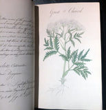William Sutcliffe, (19th-century) A Collection of English Plants, Drawn and Colored by William Sutcliffe.